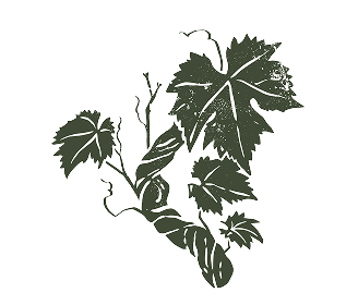 vine